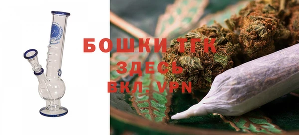 PSILOCYBIN Баксан
