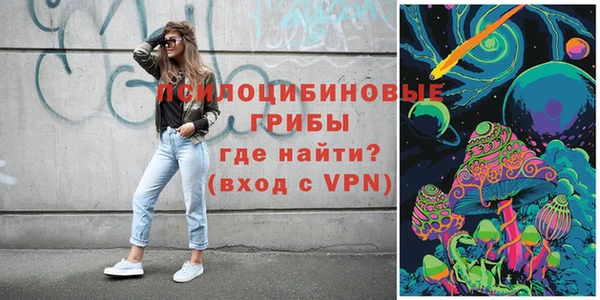 PSILOCYBIN Баксан
