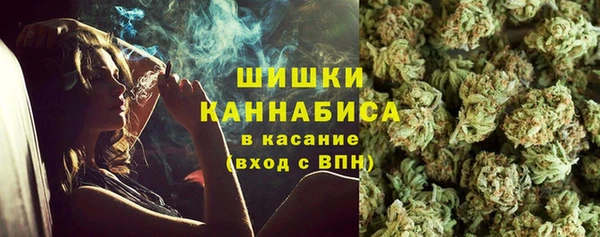 ГАЛЛЮЦИНОГЕННЫЕ ГРИБЫ Дубна